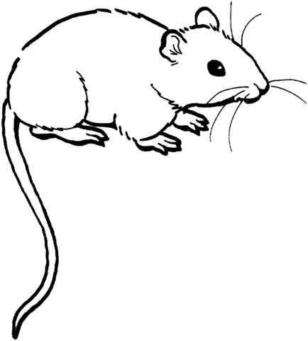 Mouse 1 Coloring Page